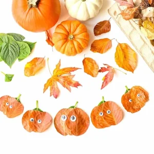 Deko im Herbst für Fenster und Haustür