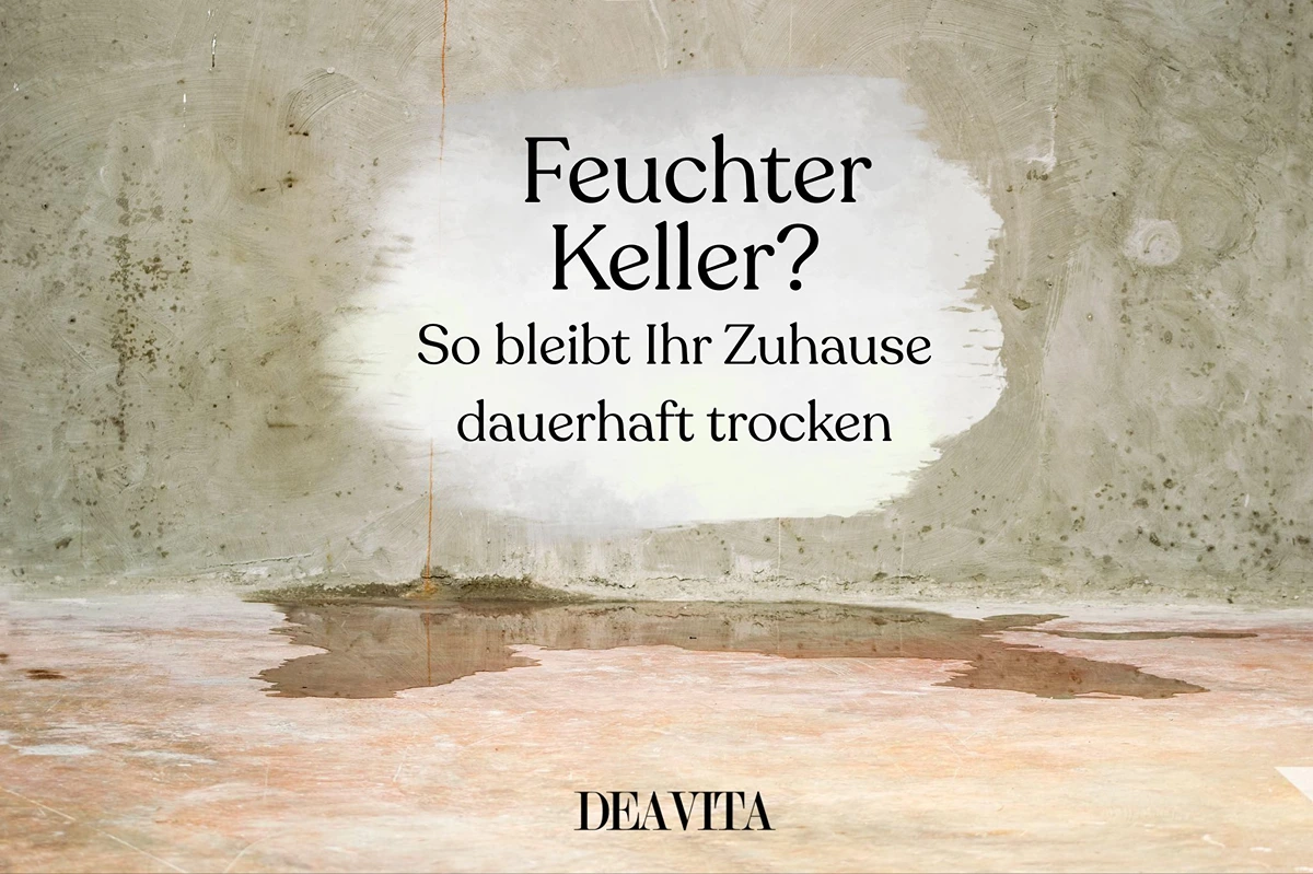 Feuchter Keller - Ursachen und Problemlösung von DIY bis Profi