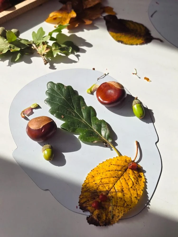 Gesichter aus Kastanien und Eicheln und Herbstblättern