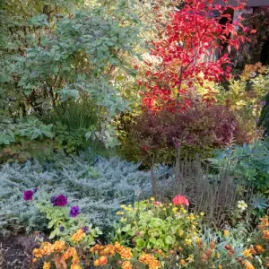 Herbstgarten gestalten nützliche Tipps