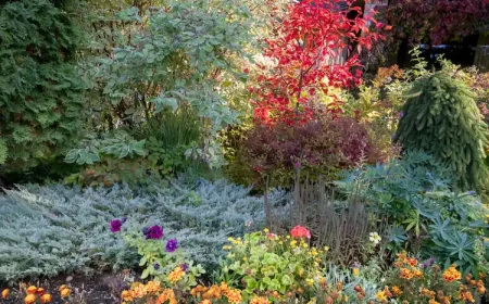 Herbstgarten gestalten nützliche Tipps