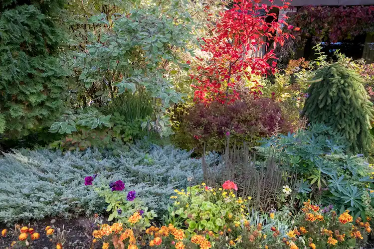 Herbstgarten gestalten nützliche Tipps
