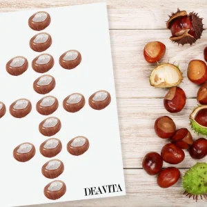 Kastanien legen mit Vorlagen zum Spielerischen Lernen für Kinder