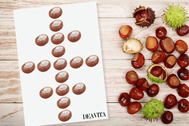 Kastanien-legen-mit-Vorlagen-f-r-gro-e-und-kleine-Kinder-Spielerisch-lernen-im-Herbst