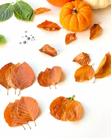 Kürbis aus Herbstblättern basteln Anleitung