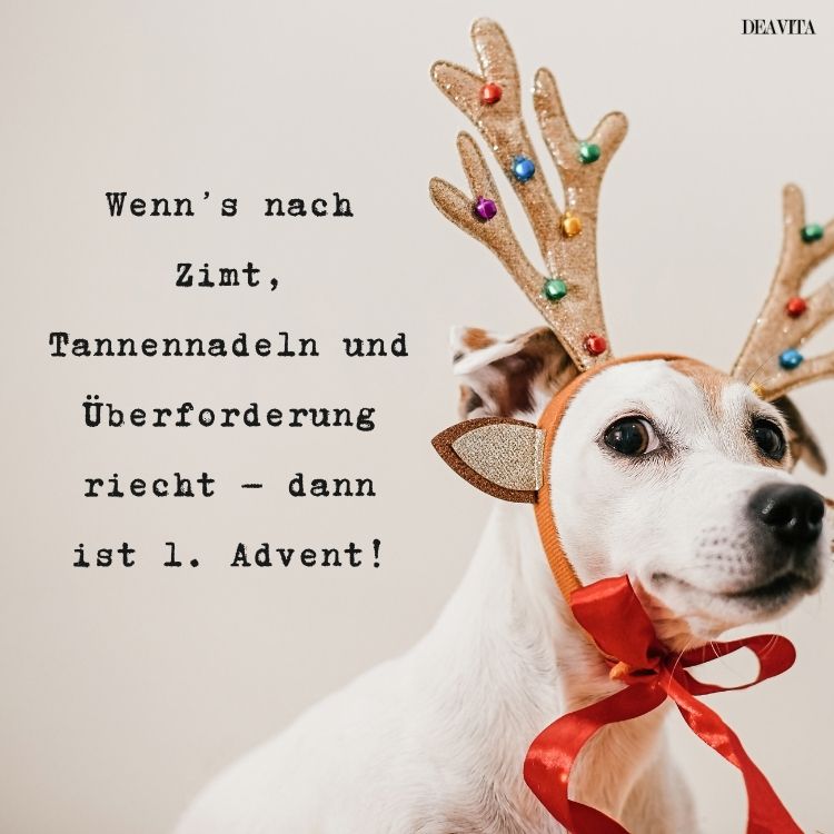 lustige 1 advent bilder mit sprüchen