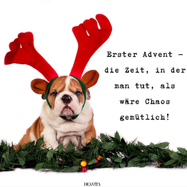 lustige 1 advent sprüche und bilder