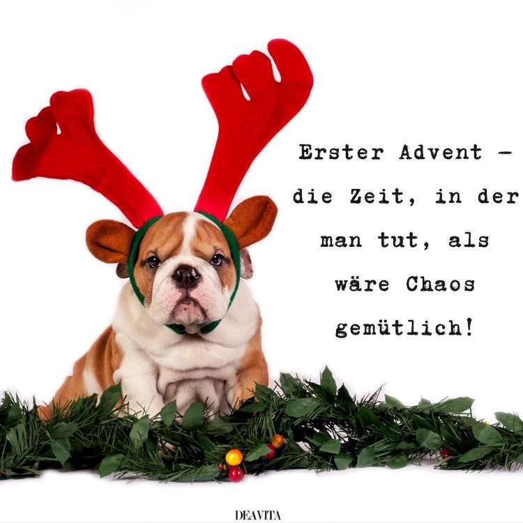 lustige 1 advent sprüche und bilder