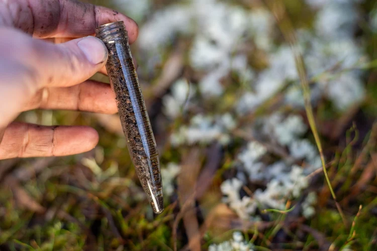 Mikroorganismen dem Boden zuführen im Herbst Tipps William Edge