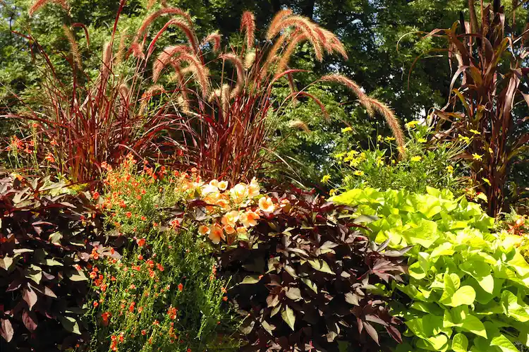 Herbstgarten gestalten nützliche Tipps 