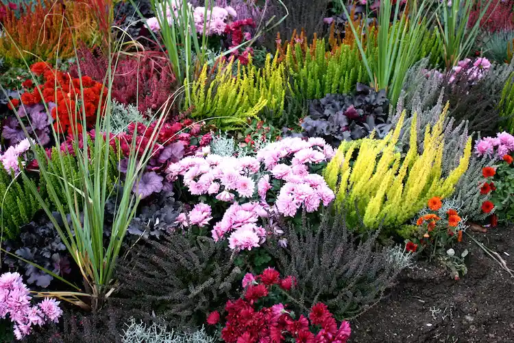 Mikroorganismen im Garten pflanzen Anleitung Andie_Alpion