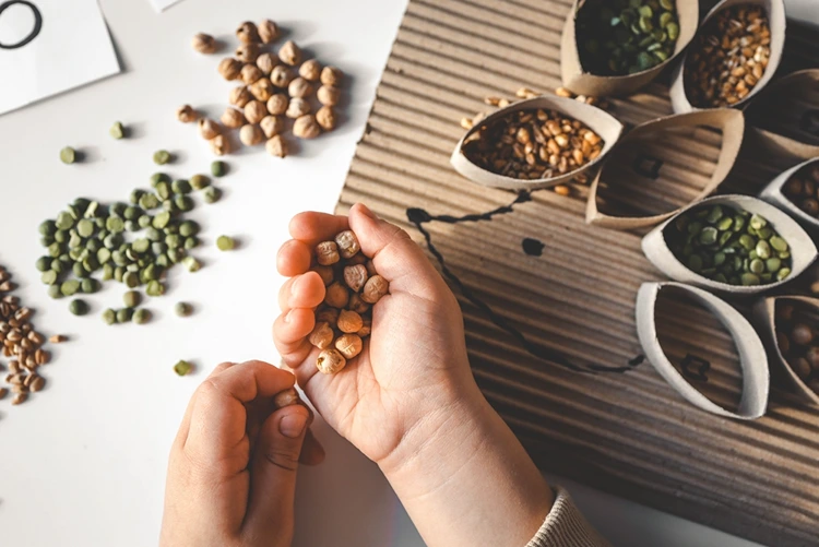 Natürliche Materialen als Bastelmaterial und zum Spielen mit Kleinkindern