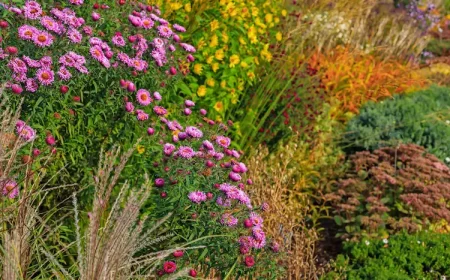 Pflanzen im Herbst welche Stauden und Sträucher