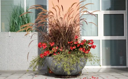 rotes Lampenputzergras mit roter Eisenkraut und Grünlilie