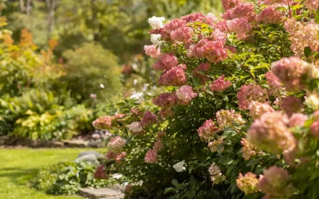 Sträucher und Stauden die keinen Rückschnitt im Herbst brauchen