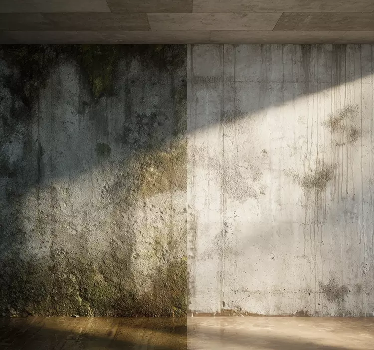 Vorher-nachher eines Kellers mit feuchter und trockener Wand