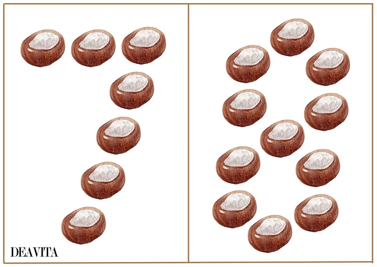 Zahlen üben mit Naturmaterialien im Herbst für Klein- und Schulkinder