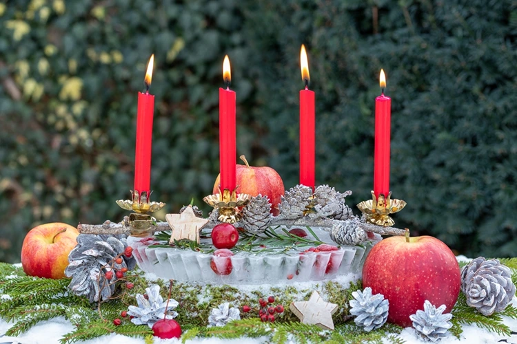 Eis-Schale selber machen für kalte Wintertage mit gefrorenen Beeren und Tannengrün