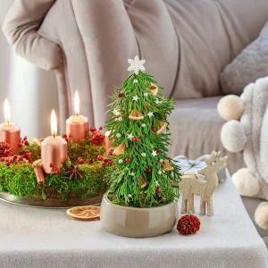 Mini-Weihnachtsbaum selber machen mit Thuja und Steckschaum