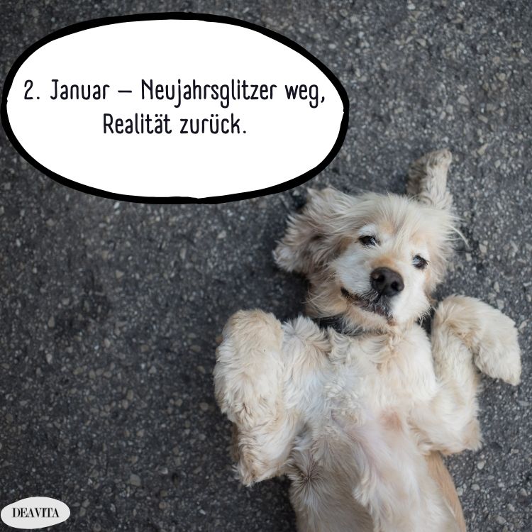 2. januar bilder lustig für whatsapp