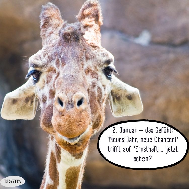 2. januar bilder zum download kostenlos