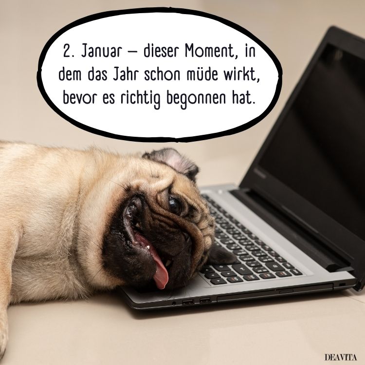 2. januar lustige bilder zum teilen whatsapp