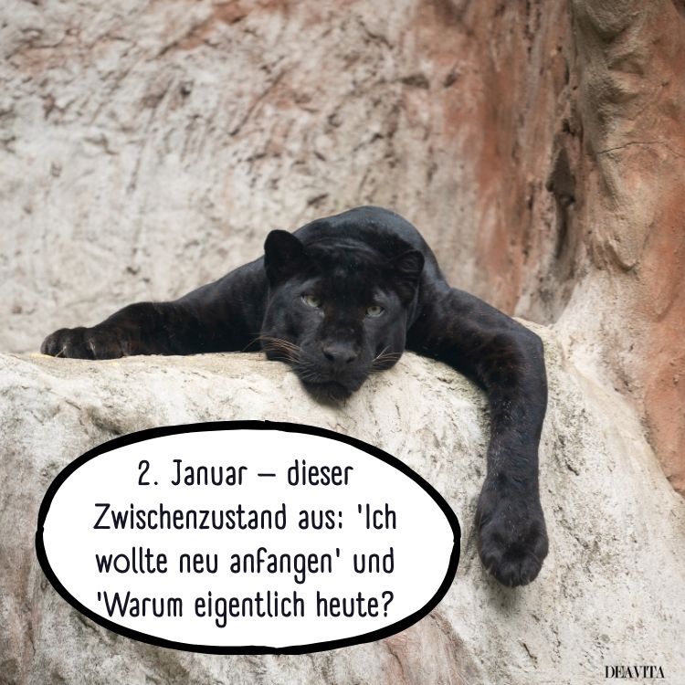 2. januar sprüche lustig kostenlos zum teilen