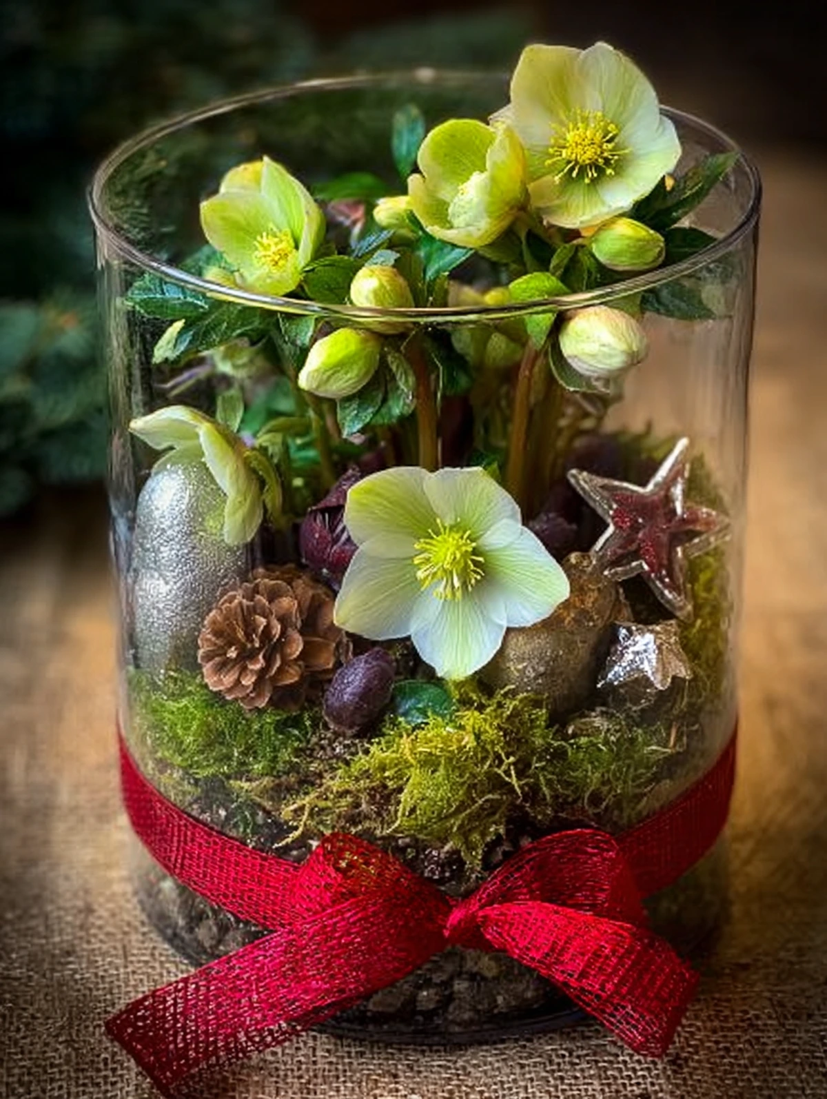 christrose als geschenk im glas