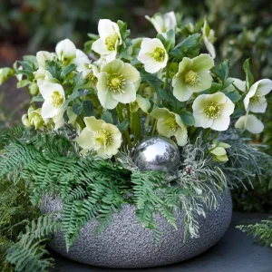 edle christrosen komposition mit farn und silberner deko kugel – stilvolle idee für den eingangsbereich