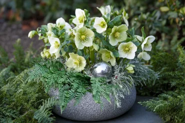 edle christrosen komposition mit farn und silberner deko kugel – stilvolle idee für den eingangsbereich