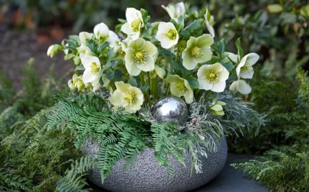 edle christrosen komposition mit farn und silberner deko kugel – stilvolle idee für den eingangsbereich