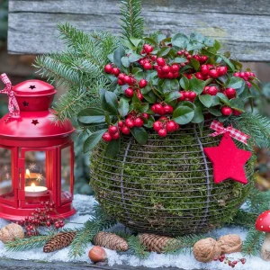festliche deko idee für draussen mit roten scheinbeeren
