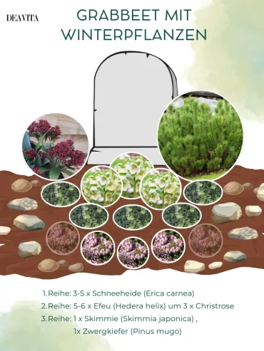 grabgestatung mit christrose pflanzplan