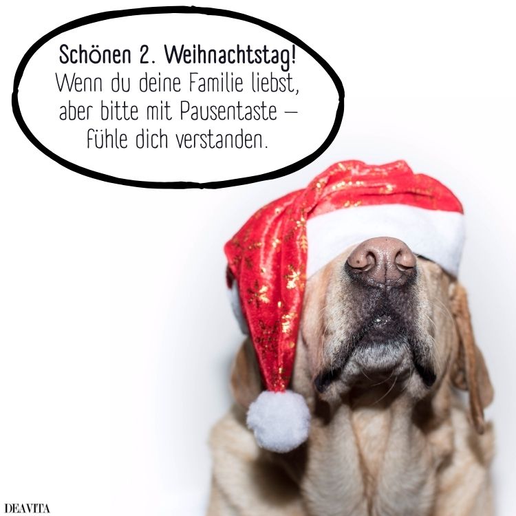 guten morgen 2 weihnachtstag lustig