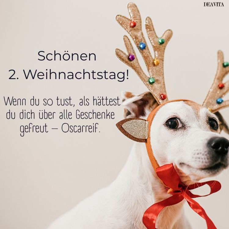 guten morgen am 2 weihnachtstag lustige bilder