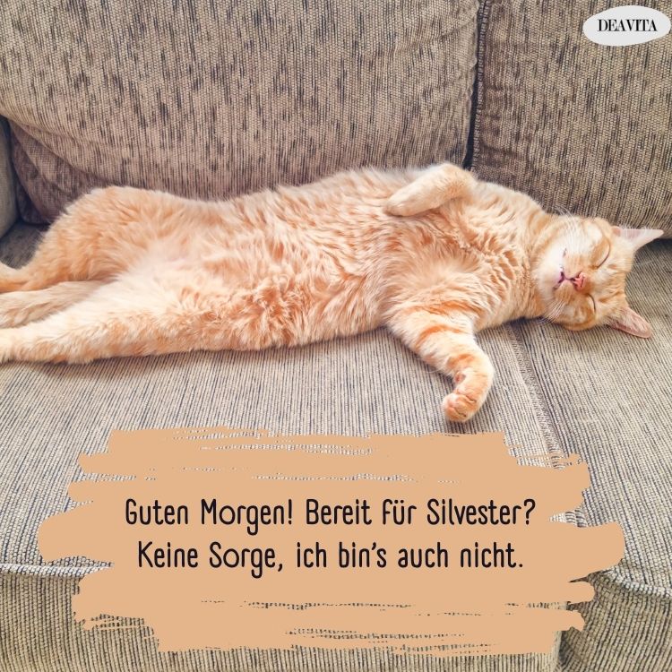 guten morgen silvester bilder mit lustigen grüßen