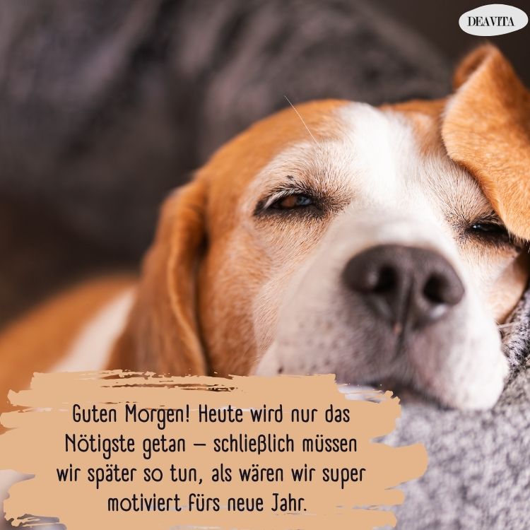 guten morgen silvester lustige bilder zum teilen