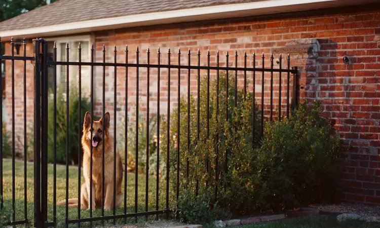 Hundeschutzzaun für den Garten