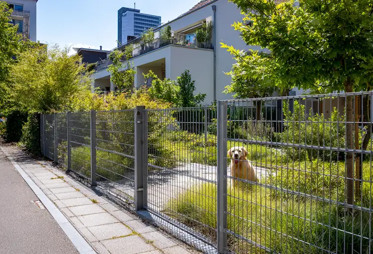 Sicher-und-stilvoll-So-gelingt-der-perfekte-Hundeschutzzaun-im-Garten