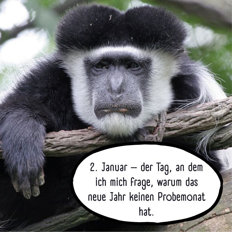 januar lustige bilder zum download