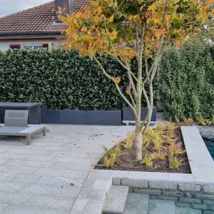 Freistehende Heckenpflanzen als Sichtschutz für die Terrasse