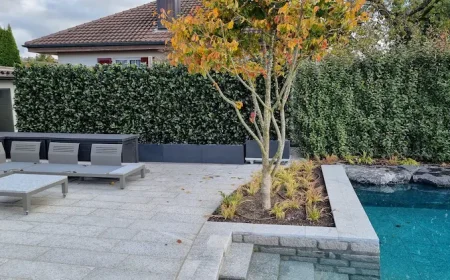 Freistehende Heckenpflanzen als Sichtschutz für die Terrasse