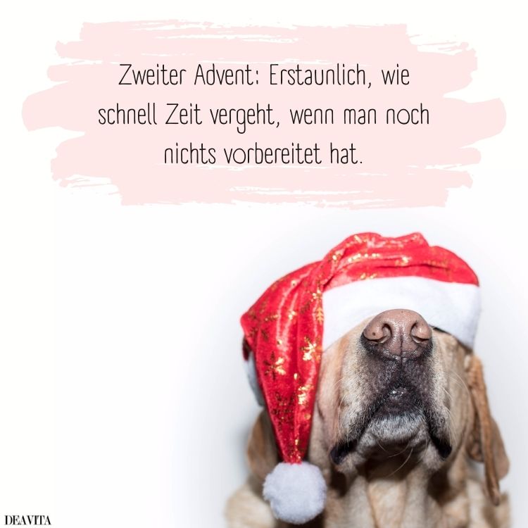 lustige bilder mit sprüchen zum 2 advent