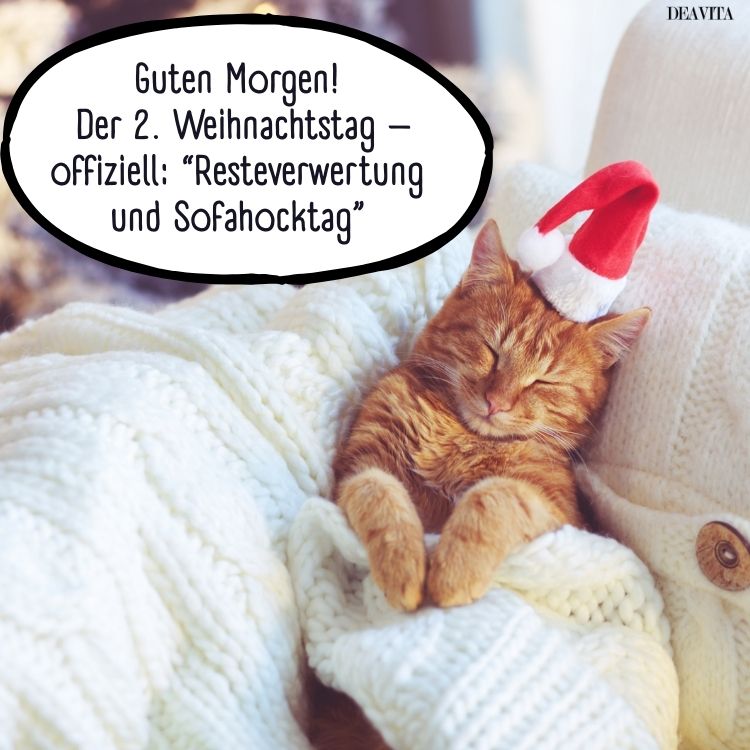 lustige bilder zweiter weihnachtstag zum teilen