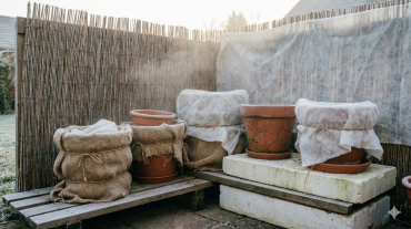 schutz vor wind und wintersonne – warum das so wichtig ist