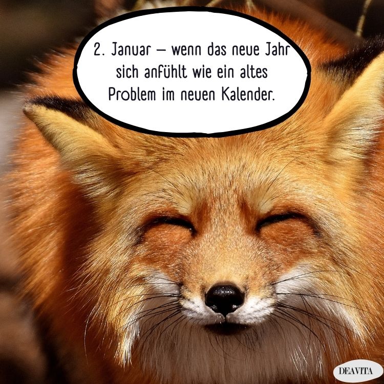 sprüche 2. januar lustig kostenlose bilder