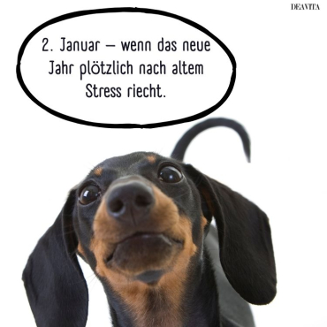 sprüche januar lustige bilder zum herunterladen kostenlos