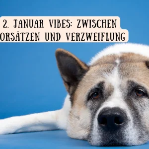 2 januar vibes zwischen vorsätzen und verzweiflung