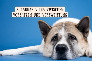 2 januar vibes zwischen vorsätzen und verzweiflung