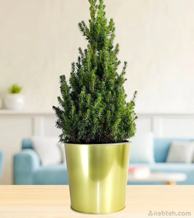 Bevor Sie Maßnahmen ergreifen, überprüfen Sie die möglichen Ursachen